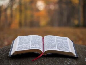 livre ouvert